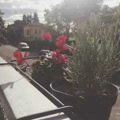 Mały balkon w bloku: Jak stworzyć oazę? Praktyczny przewodnik