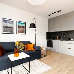 Nowoczesny salon z aneksem kuchennym, ciemnoszara kanapa, pomarańczowe poduszki, obrazy z drogami.