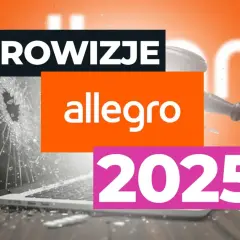 Czy kupujący płaci prowizję? Zasady i stawki 2024