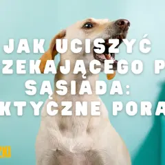 Uporczywe szczekanie psa sąsiada? Oto jak odzyskać ciszę!