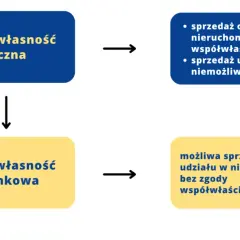 Udział w nieruchomości: prawa, obowiązki i zniesienie współwłasności