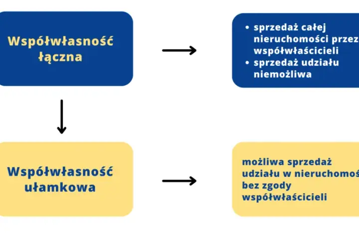 Udział w nieruchomości: prawa, obowiązki i zniesienie współwłasności