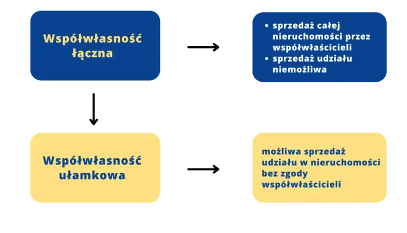 Udział w nieruchomości: prawa, obowiązki i zniesienie współwłasności