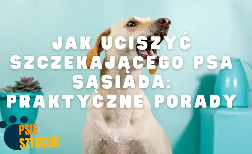 Uporczywe szczekanie psa sąsiada? Oto jak odzyskać ciszę!