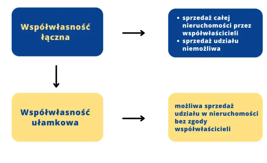 Udział w nieruchomości: prawa, obowiązki i zniesienie współwłasności
