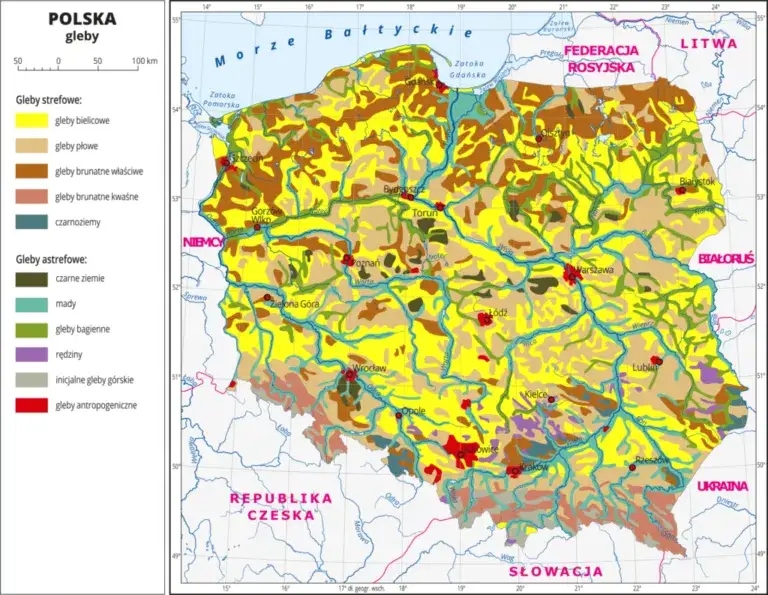 klasyfikacja gruntów w Polsce